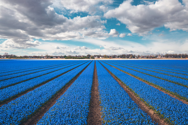 蓝色字段图片下载