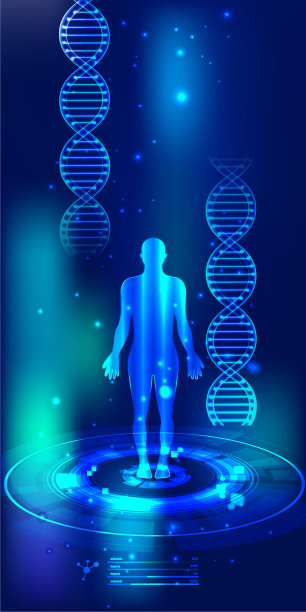 摘要载体图中的载体DNA结构。图片下载