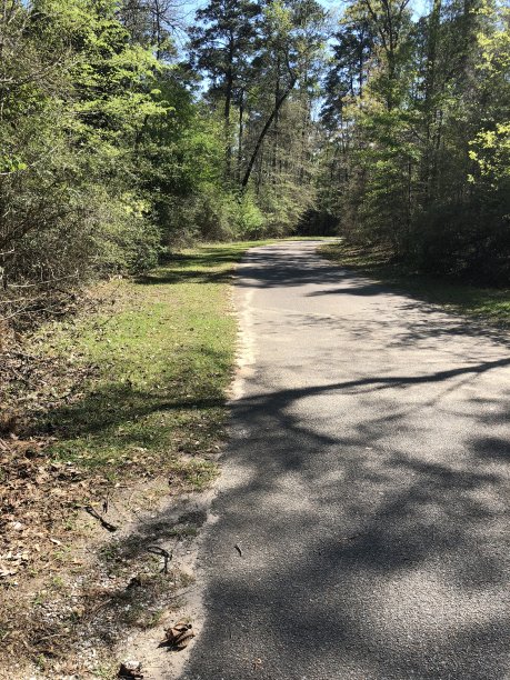 河流和湖泊图片下载