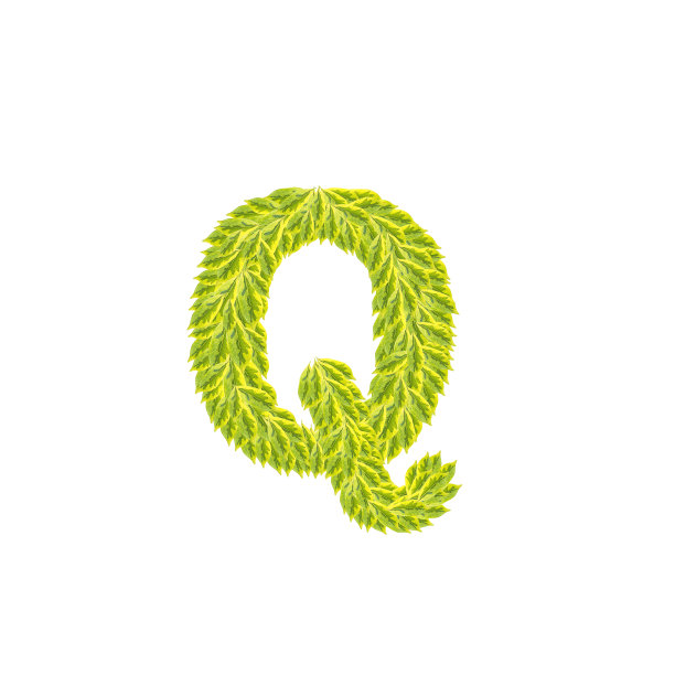 特写一堆绿叶，Q英文字母孤立在白色背景上图片下载