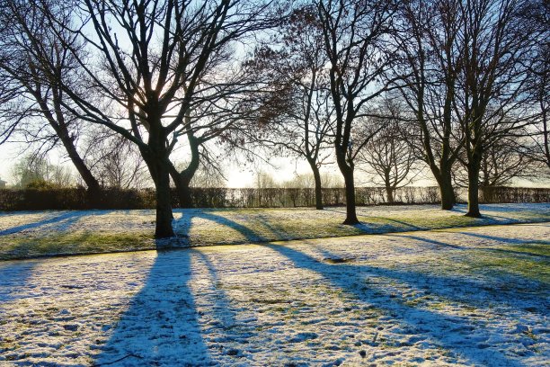 一个冬天的风景。图片下载