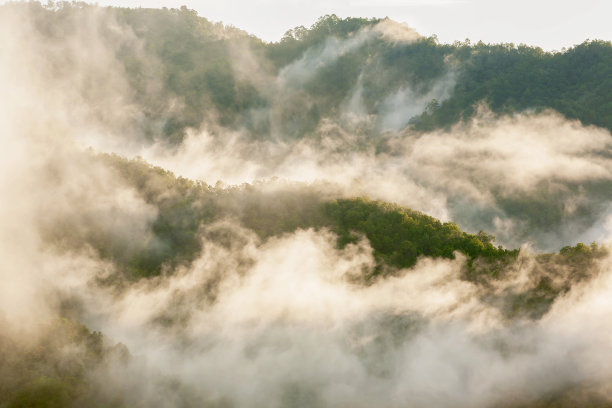 抽象的自然艺术，在晨曦中，薄雾与山翩翩起舞。图片下载