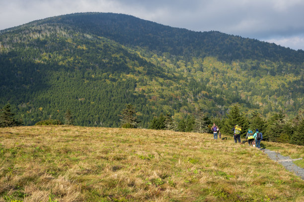朋友们带着露营装备在阿巴拉契亚山道的罗安山徒步旅行图片下载