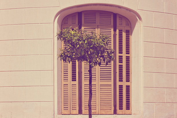 西班牙住宅的立面，有单扇紧闭的木制百叶窗和柠檬树图片下载