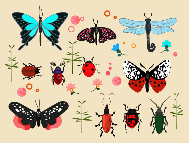 昆虫图标设置图片下载