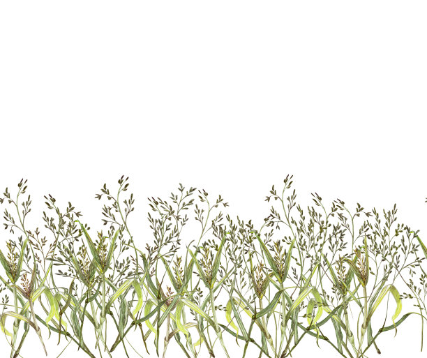 无缝遏制带的草地，田野草图片下载