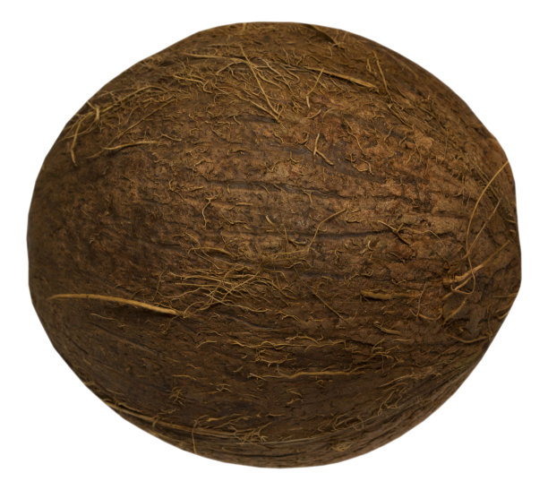 在白色上孤立的热带水果椰子图片下载