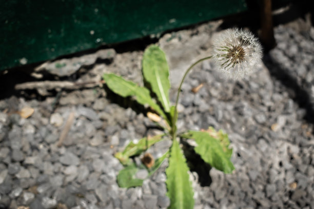 自然概念的力量。图片下载