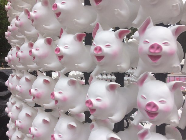 白色粉色红色小猪玩具气球图片下载