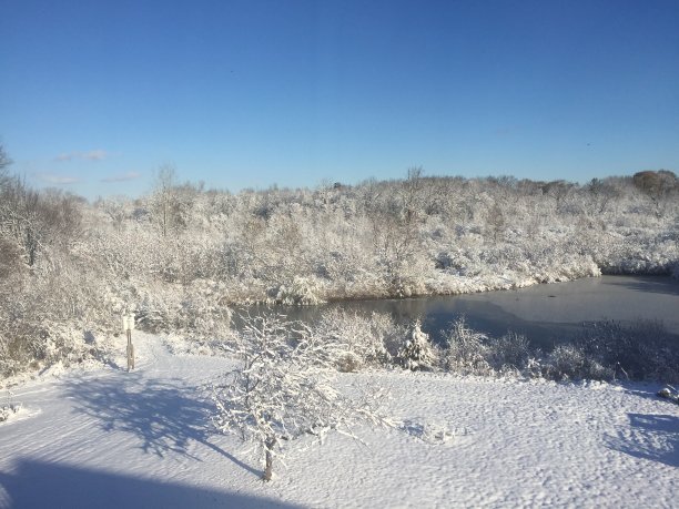 冬天的早上图片下载