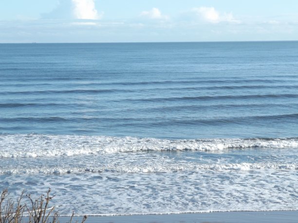 蒙特罗斯图片下载