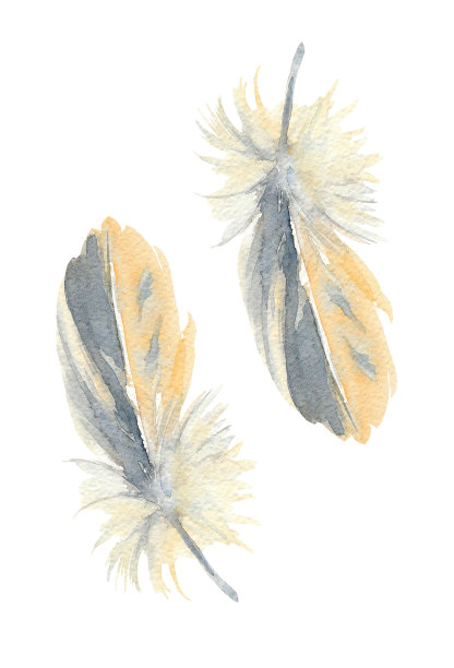 黄松的程式化的半羽状羽毛。水彩插图。图片下载