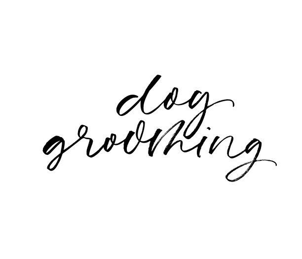 以优雅的书法风格在白色背景上手写的狗美容短语。图片下载