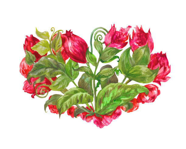 水彩花心孤立上白图片下载