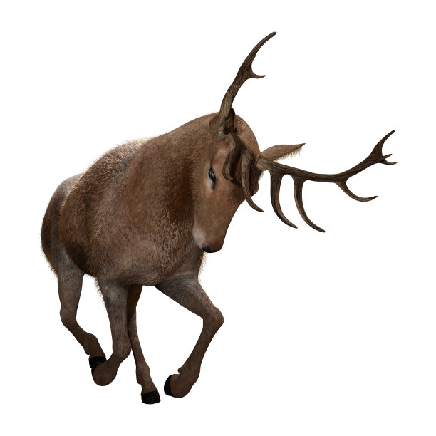 3D插图雄鹿在白色图片下载