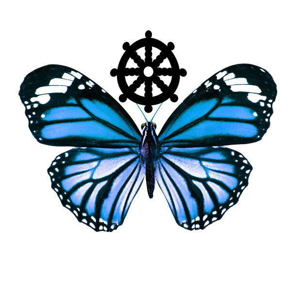 热带蓝蝴蝶。在白色背景上隔离图片下载