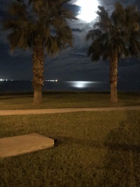 月亮海滩图片下载