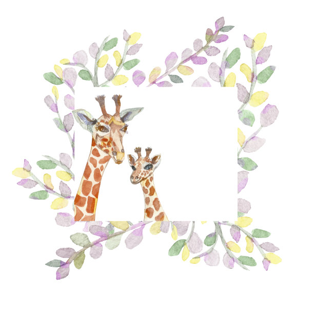 用画笔绘制的桉树叶上的水彩长颈鹿，手工制作。母亲和孩子。图片下载