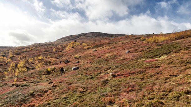 拉普兰的风景图片下载