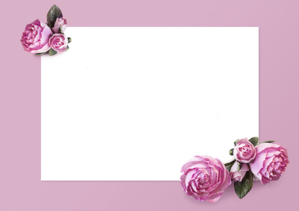 创意布局构图框架孤立的牡丹花和一张白色的纸在粉红色的背景。图片下载