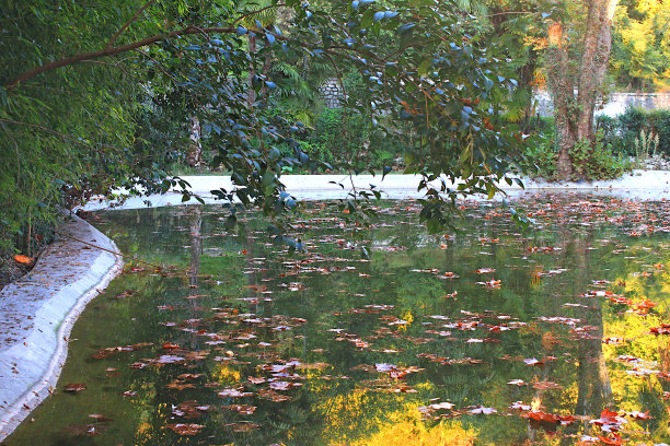 秋天的老池塘图片下载