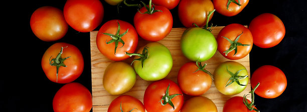 成熟和半成熟的dometes，刀和番茄，番茄切成两段，把番茄切在砧板上，刀和番茄，素材图片