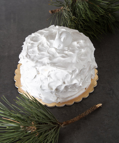 孩子们的生日蛋糕。孩子的节日。图片下载