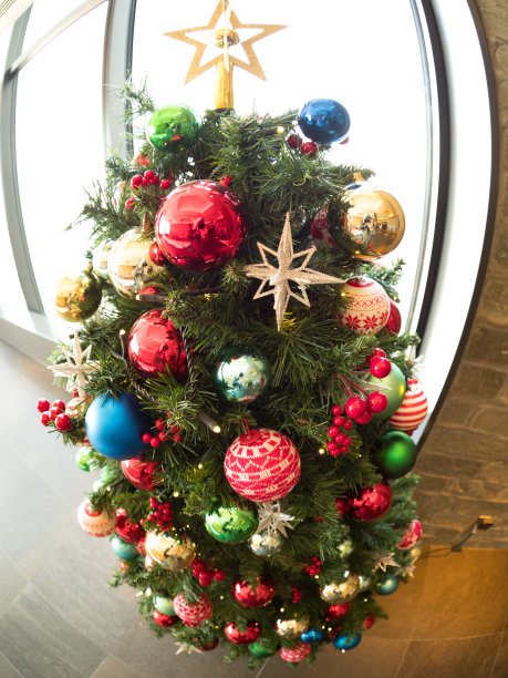 闪闪发光的圣诞树图片下载