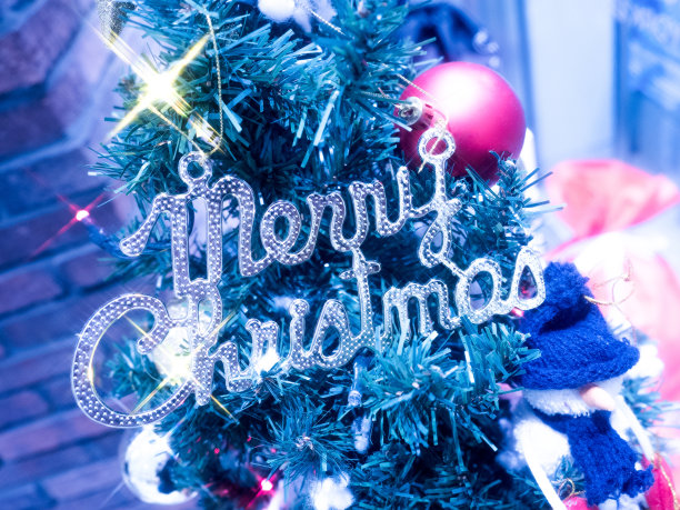 闪闪发光的圣诞树图片下载