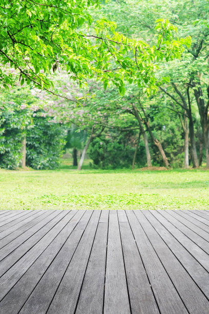 空木平台，春绿森林背景图片下载