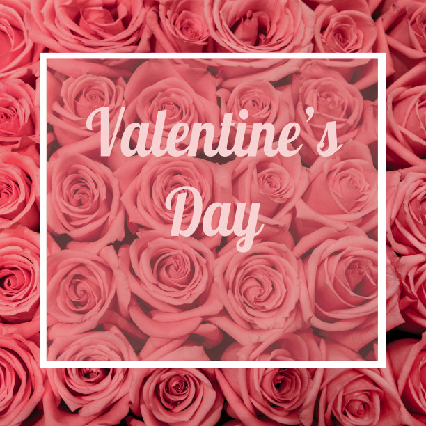 情人节，一大束粉红色的玫瑰，俯视图图片下载