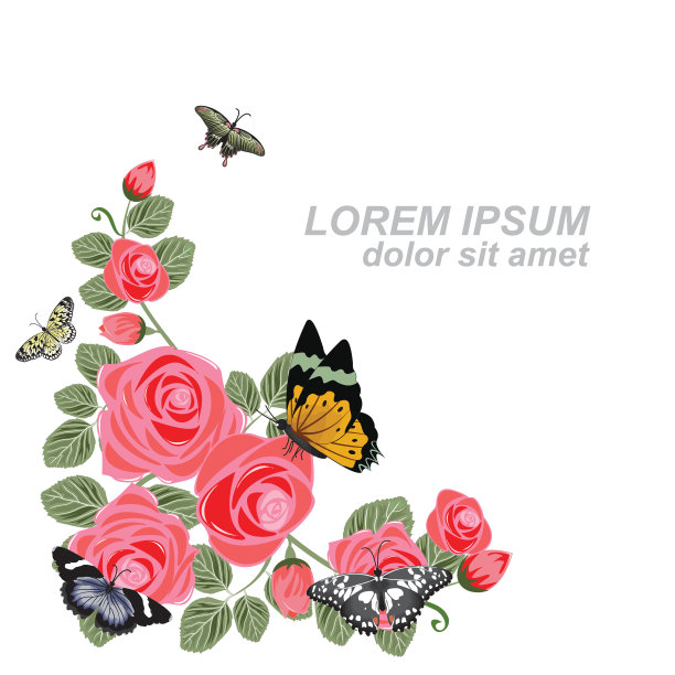 蝴蝶花花夏天春天框架背景图片下载