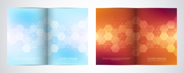 双折宣传册模板与六角形图案图片下载