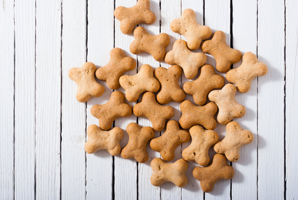 狗食饼干图片下载