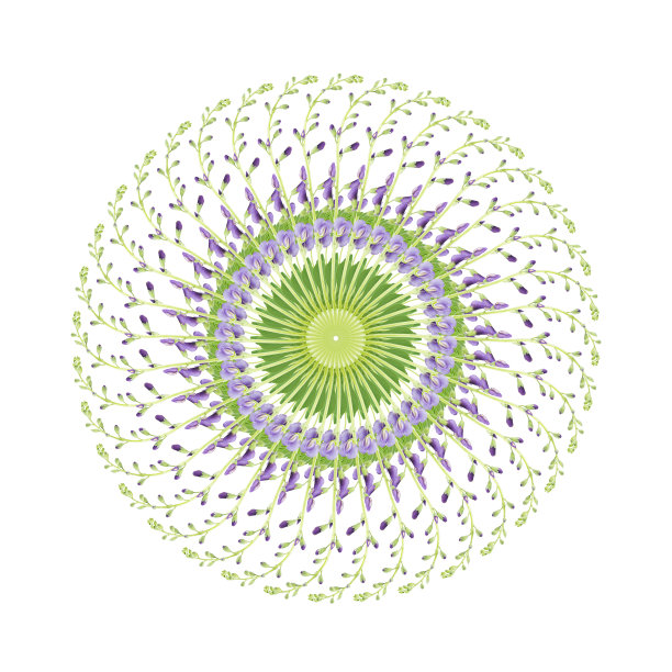 蓝色紫竹花的圆形图案图片下载