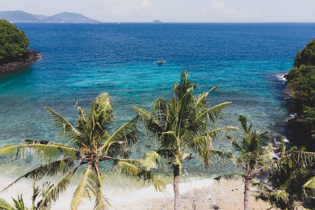 鸟瞰图的热带海滩与棕榈树和海岸线和船摇摆在海上的水。热带雨林，巴厘岛上的蓝色泻湖图片下载