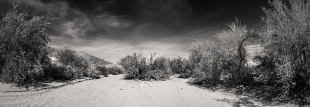 阿罗约在萨瓜罗国家公园图片下载