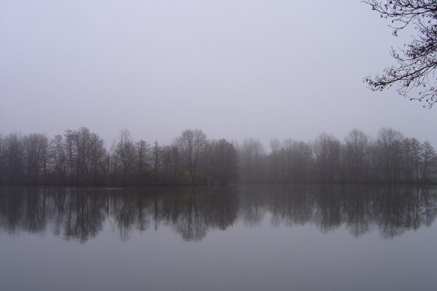 雾蒙蒙的湖图片下载