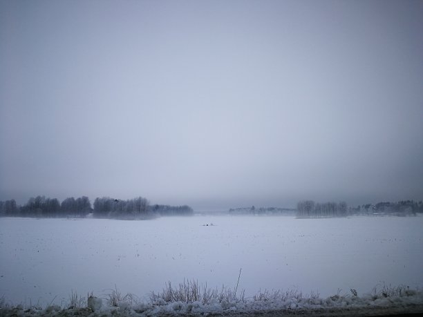 乡村冬天的大雾天图片下载