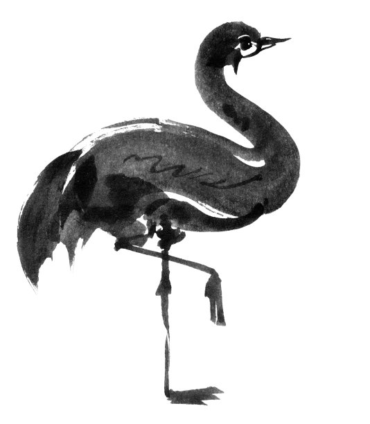 插图的鹭图片下载