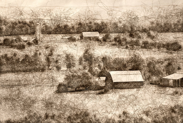 夏日清晨宁静的农田素描图片下载