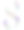 8号装饰有美丽的玫瑰和口水仙花。3月8日国际妇女节插画。图片下载