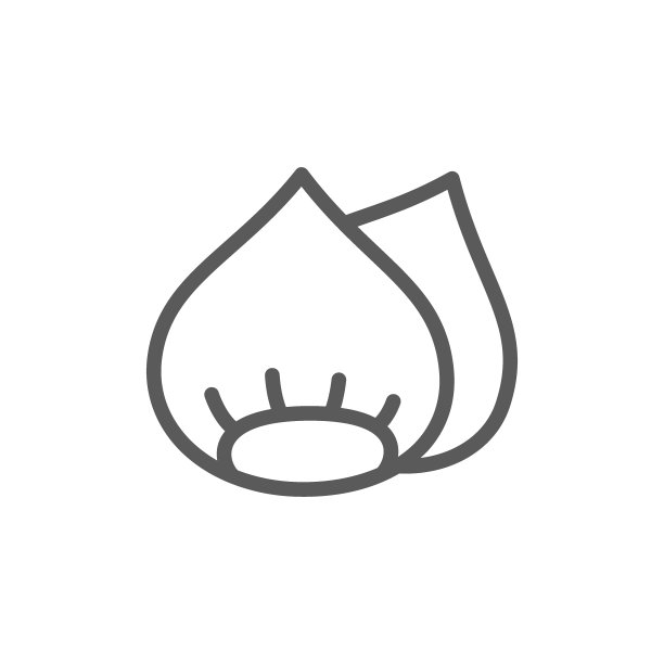 榛子坚果线图标。在白色背景上隔离素材图片