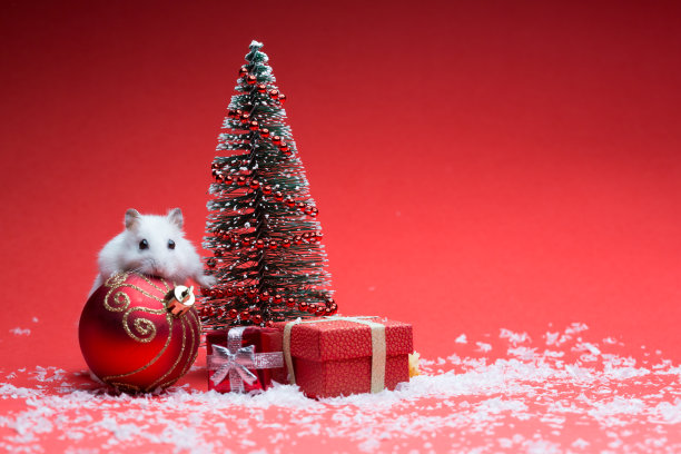 圣诞图案图片素材ID：331194312