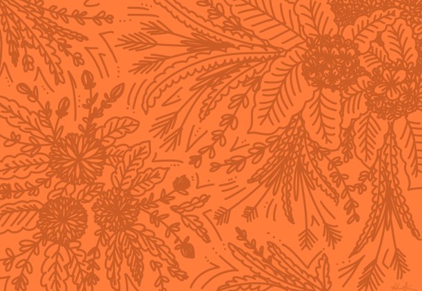 热带花卉插图在一个橙色的背景图片下载