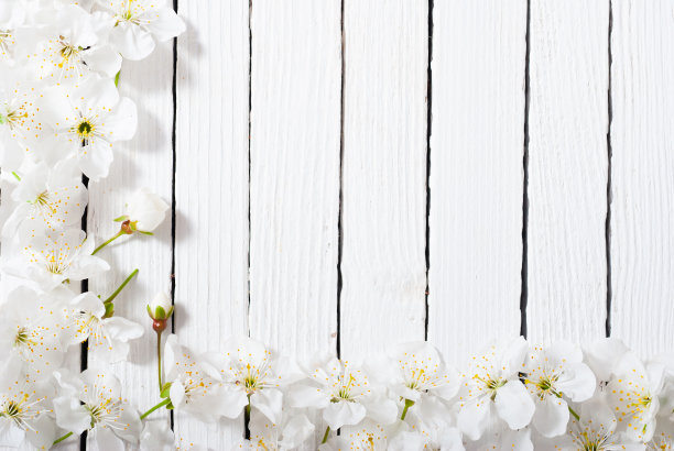 樱花白色木桌背景图片下载