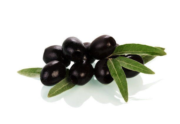 多汁的橄榄枝上有孤立的白色叶子图片下载