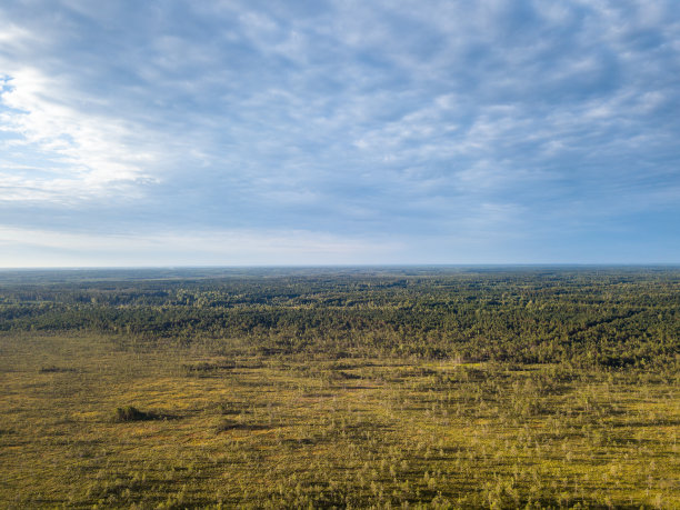 无人机在初夏日出与云彩与太阳耀斑在树上的彩色荒原照片图片下载