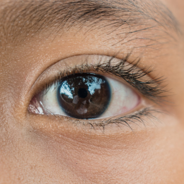 棕色眼睛的亚洲小孩图片下载