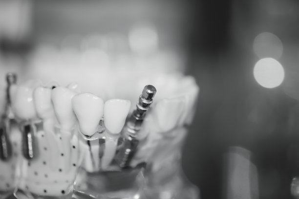 透明的人类牙齿模型图片下载